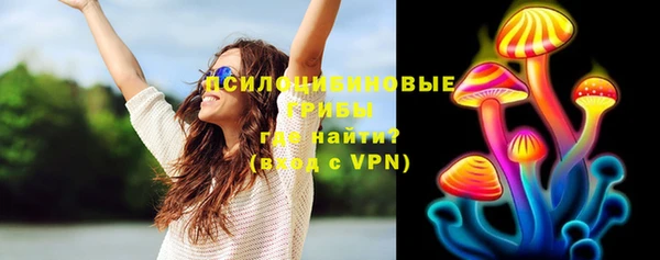 ГАЛЛЮЦИНОГЕННЫЕ ГРИБЫ Покровск
