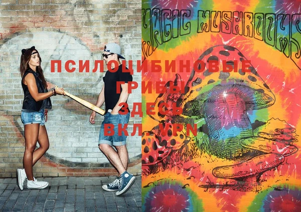 apvp Покров