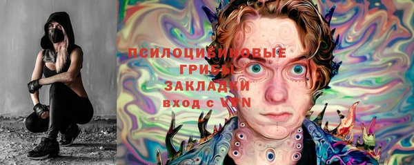 ГАЛЛЮЦИНОГЕННЫЕ ГРИБЫ Покровск