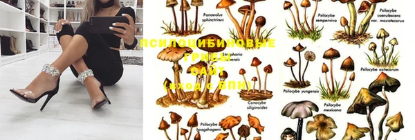 кристаллы Покачи